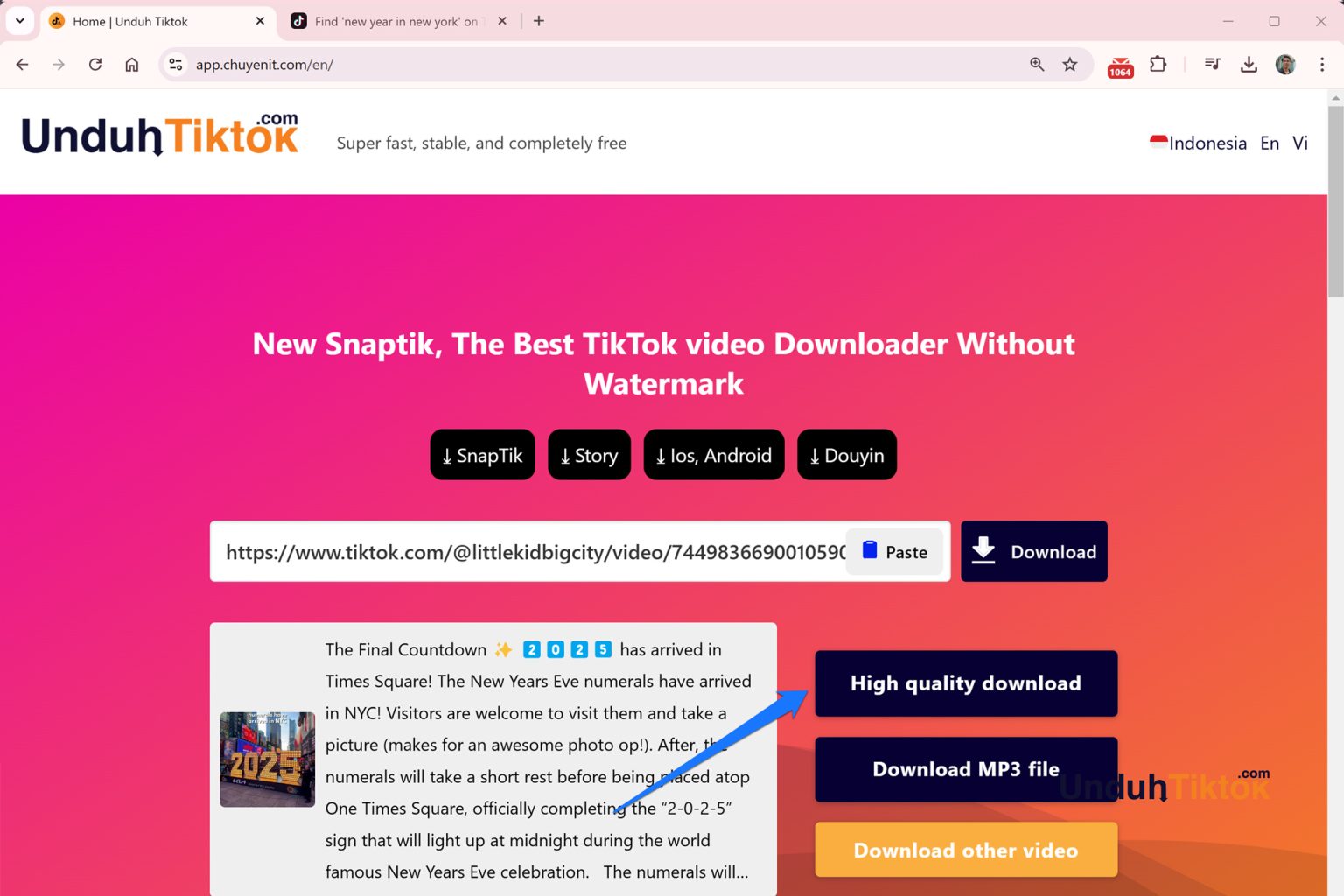 Top 9 TikTok Watermark Remover Methods for Downloads 2024 Unduh