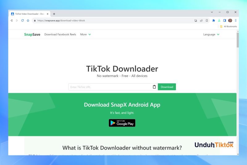 Cách xóa logo TikTok online chất lượng nhất bằng Snapsave