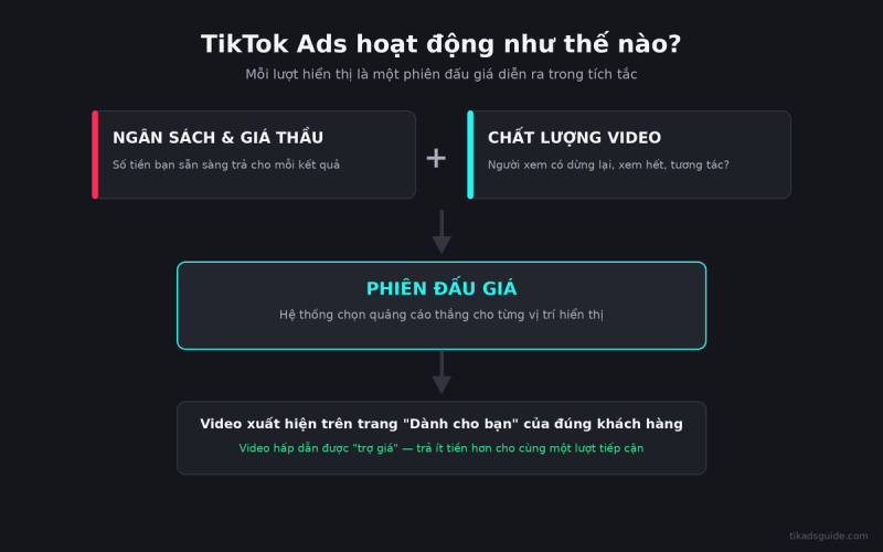 Quảng cáo TikTok là gì? TikTok Ads hoạt động ra sao?