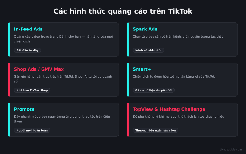 Các hình thức chạy quảng cáo trên TikTok hiện nay